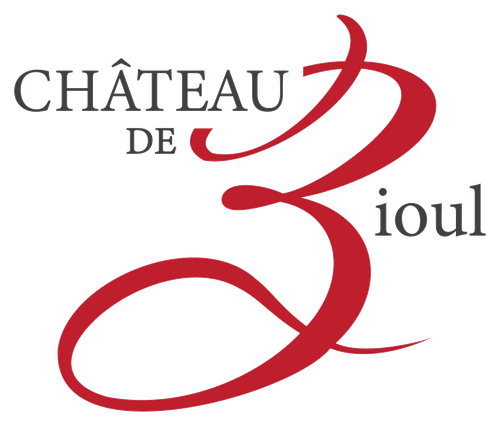 Château de Bioul