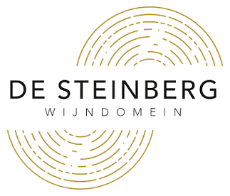 De Steinberg
