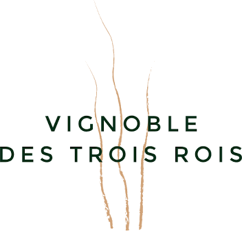 Vignoble des Trois Rois